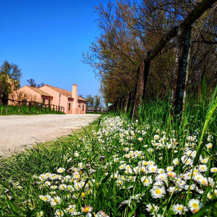 Residenza La Gallinella Comacchio Luaran gambar